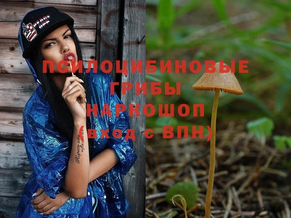 трава Сясьстрой