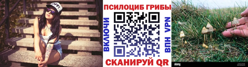 мега ссылки  Алейск  Псилоцибиновые грибы прущие грибы 