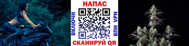 Бошки марихуана семена  Алейск 